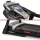 Бігова доріжка Capital Sports Pacemaker F80 3PS (10034203)