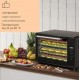 Дегідратор сушарка для овочів, фруктів KLARSTEIN Mega Jerky 650 Вт 35-80°C (10034439)