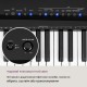 Синтезатор Schubert Preludio Keyboard (10034897)