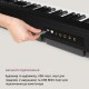 Синтезатор Schubert Preludio Keyboard (10034897)
