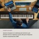 Синтезатор Schubert Preludio Keyboard (10034897)