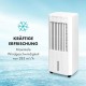 Мобильный кондиционер вентилятор Klarstein Iceberg Pure (10035856)