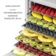 Дегідратор сушарка для овочів, фруктів KLARSTEIN Mega Jerky 650 Вт 35-80°C (10035927)