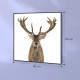 Інфрачервоний обігрівач Klarstein Wonderwall Air Art Smart Deer (10037831)
