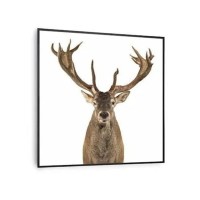 Інфрачервоний обігрівач Klarstein Wonderwall Air Art Smart Deer (10037831)