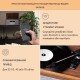 Програвач вінілу Auna Bella Ann радіо DAB+/FM USB Bluetooth (10041388)
