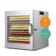 Дегідратор сушарка для овочів, фруктів мяса грибів Food Dehydrator LT-12